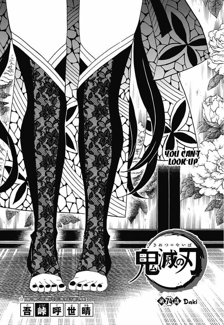 Demon Slayer Chapter 74 - Page